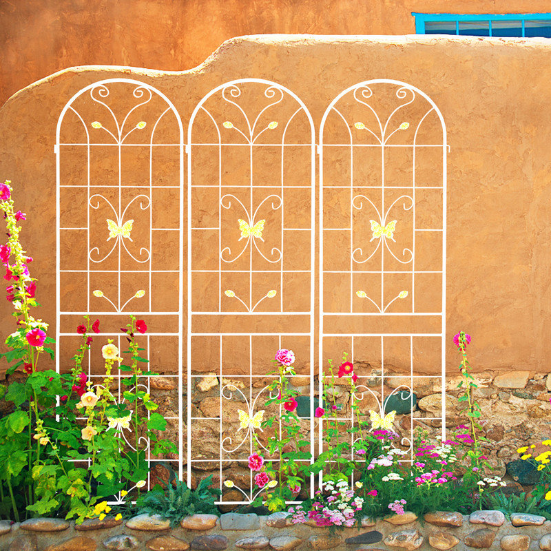 Support pour plante grimpante d'extérieur 86,7 po x 19,7 po