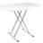 Folding Table - Lightweight Portable Folding Desk - Small Plastic Table for Camping, Playing Cards, and Crafting by Everyday Home (White)