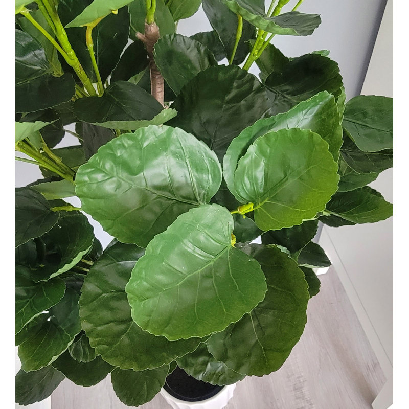 Arbre à toucher réel en pot, H 52 po x l 22 po x P 22 po