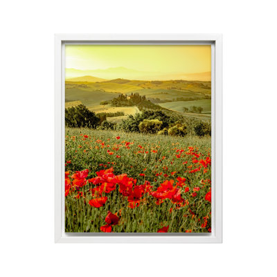 Poppy Flower