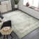 Oriental Indoor Rug