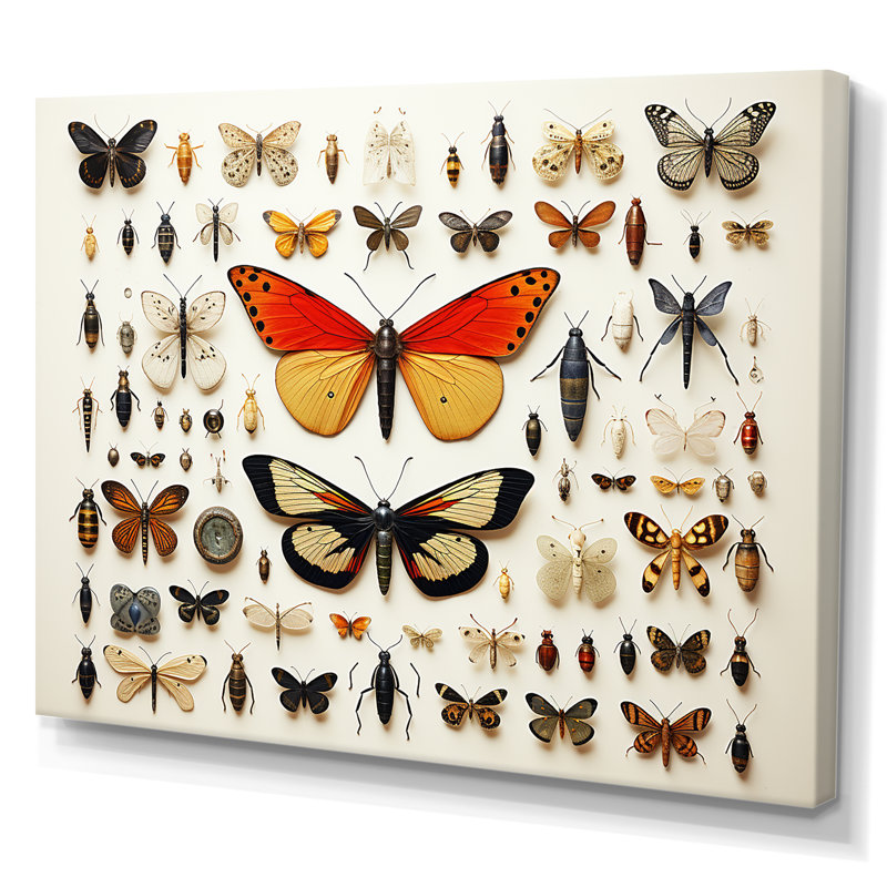 Orange Insects And Bugs - Insects & Bugswall Art, Wrapped Canvas, 30" H x 40" W x 1.5" D