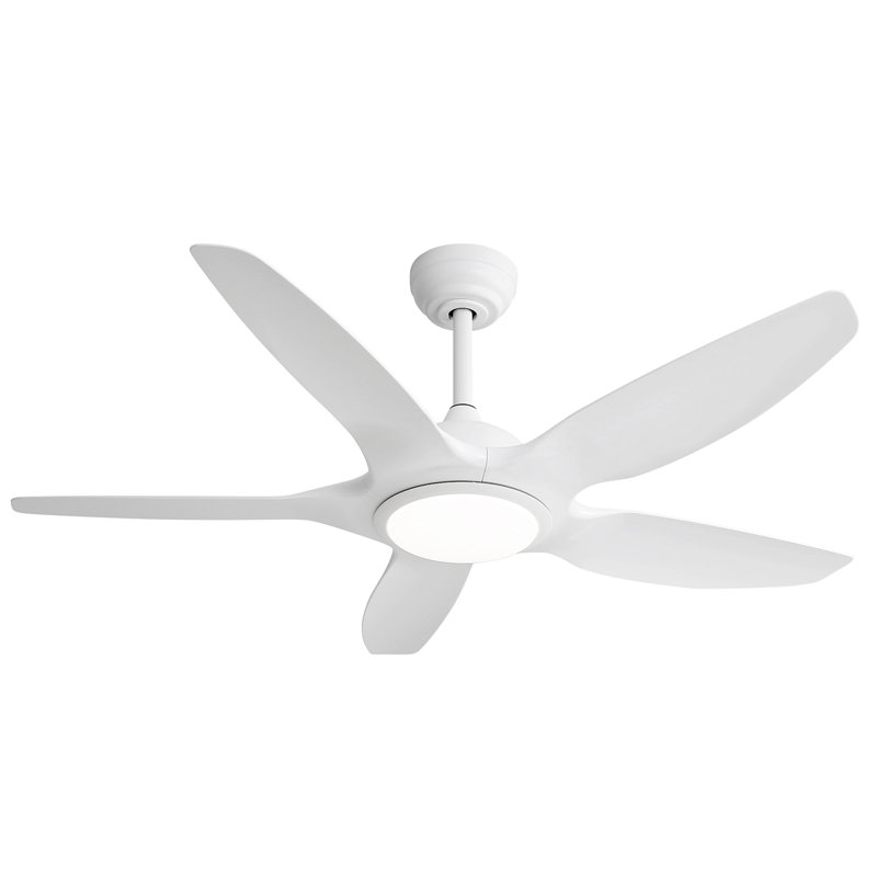 Ventilateur de plafond 48 pouces avec lumière DEL à intensité variable et télécommande, 5 pales ABS, moteur à courant continu, blanc