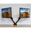 Dellonda Desktop Mount