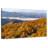 Alvord Forest Of Gold Trees-107870236