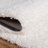 Roshane Performance Indoor Rug-762201573