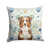 Berger australien Red Merle