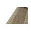 Oriental Area Rug in Brown