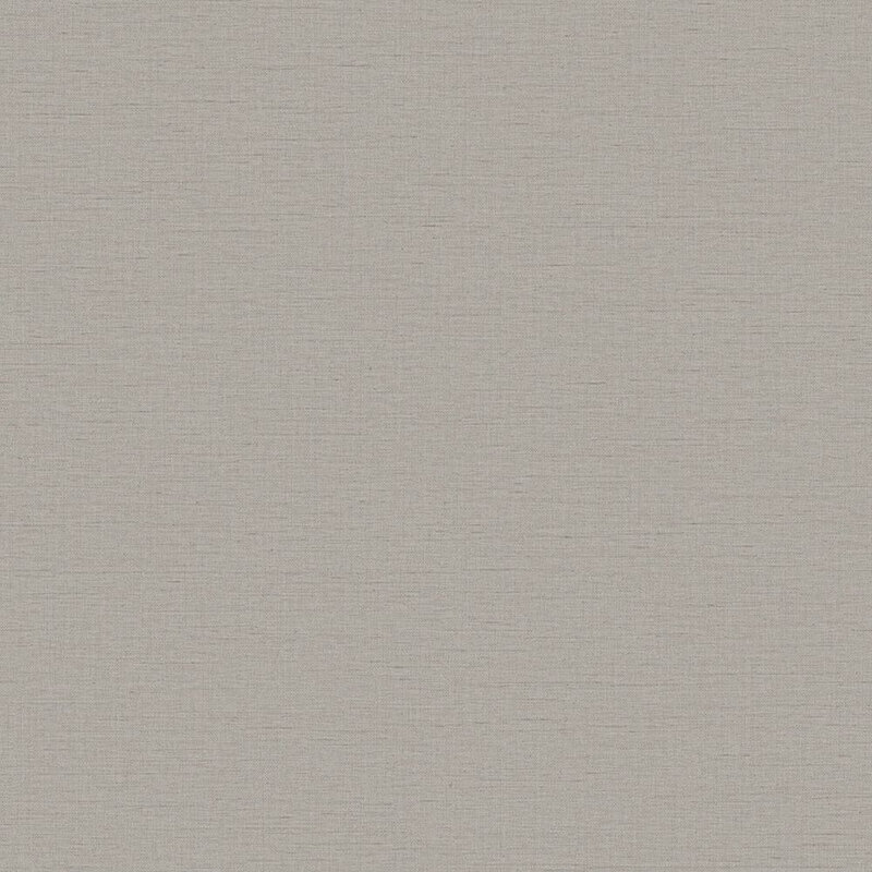 Rouleau de papier peint L 33 pi x l 21 po, Gris foncé