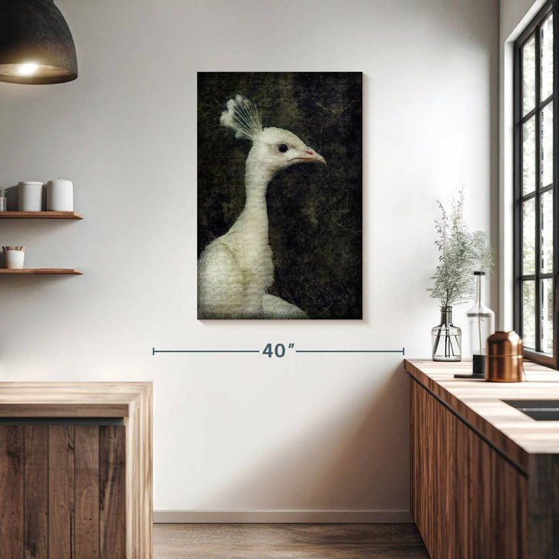 Paon blanc Brampt, H 39 po x l 26 po