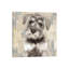 Miniature Schnauzer by Marie-Anne Stas - Wrapped Canvas Painting-173586959