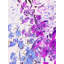 Spring Colors 3 Print by Angel Estevez-65805930-65805931