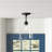 Barba 1-Light Ceiling Light in Matte Black