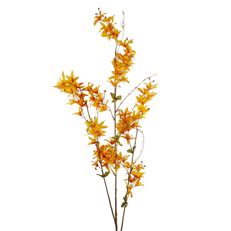 Aneris Arrangement