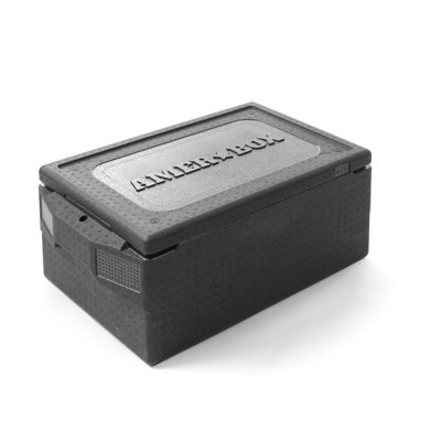 Plastic Manual Lift Rubbish Bin - 39L