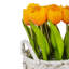 Bouquet de tulipes dans un panier blanc-635571362-635571363