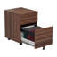 Buariki 40.4cm Wide 2 -Drawer Mobile File Cabinet-36516310