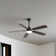 Breathtaking Comfort, Effortless Style: 52" Smart Ceiling Fan With Dimmable LED & 3 Mounting Options