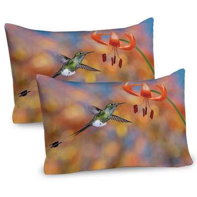 Ambesonne Bird Pillow Sham 2 Pack Racket Tail Lily Nectar  Orange Green -  pil-2_17104_36x20