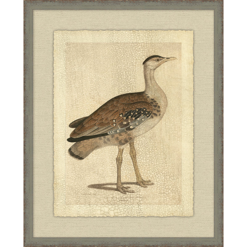 Edwards Bustard Painting