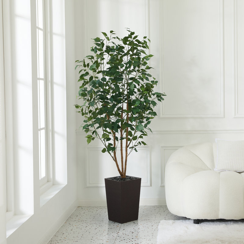 Adcock UV Protected Artificial Ficus Tree with Decorative Base, Faux Ficus Plant with Natural Trunk, 72" H x 24" W x 24" D