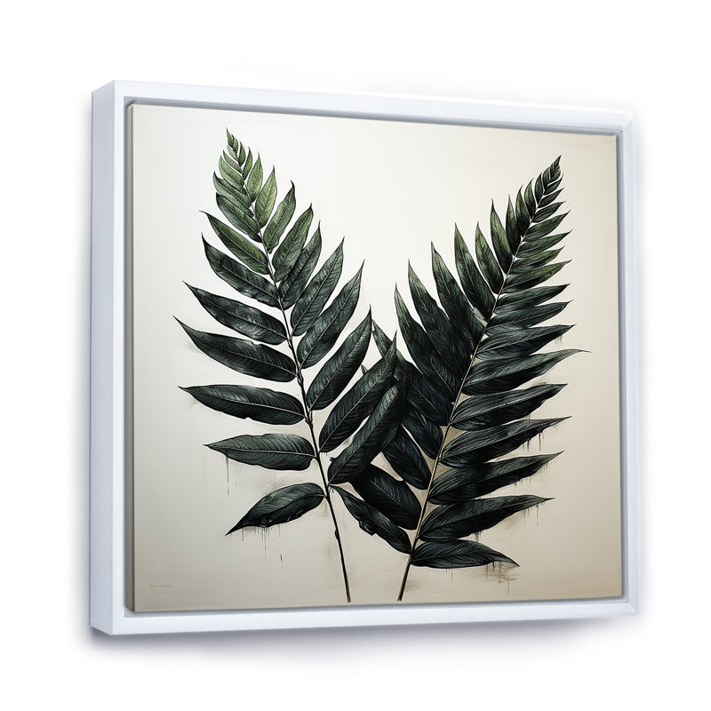 «Shadowed Black Spruce Leaves II», reproduction sur toile, Cadre flottant blanc, H 30 po x l 30 po x P 1 po