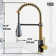 Brant 19 H 1-handle Pull-Down 2-Function Sprayer Kitchen Faucet