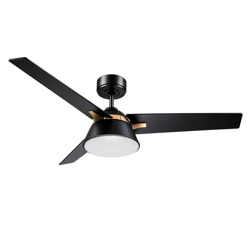 48'' Ceiling Fan with LED Lights, Black