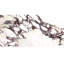 Carreau de porcelaine d'aspect marbre 12 po x 24 po Cala Rosso