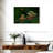 Brampt Hungry Frogs-108707166