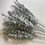 Ensemble 50 pièces d'eucalyptus artificiel