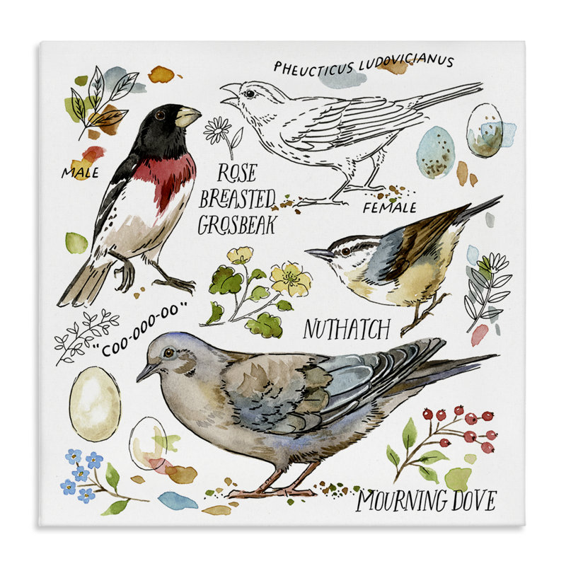 Art mural sur toile, "Bird regardant" par Jane Maday, H 17 po x l 17 po