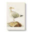 European Herring Gull by Von Wright - Wrapped Canvas-55370855