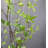 Faux spring tree Artificial Tree-207128082