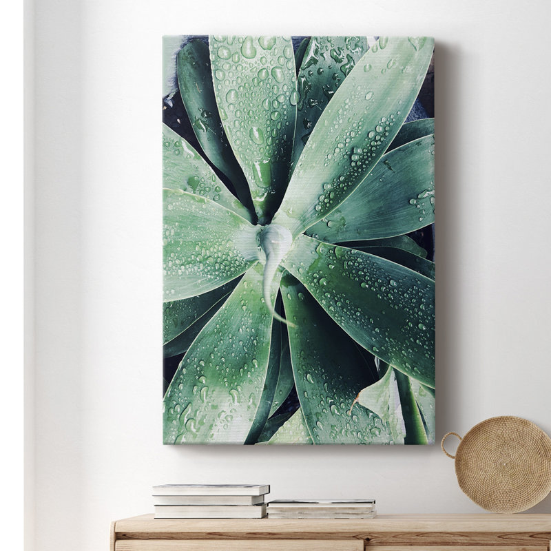 Green Tropical Succulent III - Photographie sur toile tendue, H 18 po x l 12 po x P 1,5 po, Vert