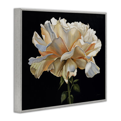 Giclée encadrée de pétales d'œillets délicats sur fond noir, design par Liz Jardine