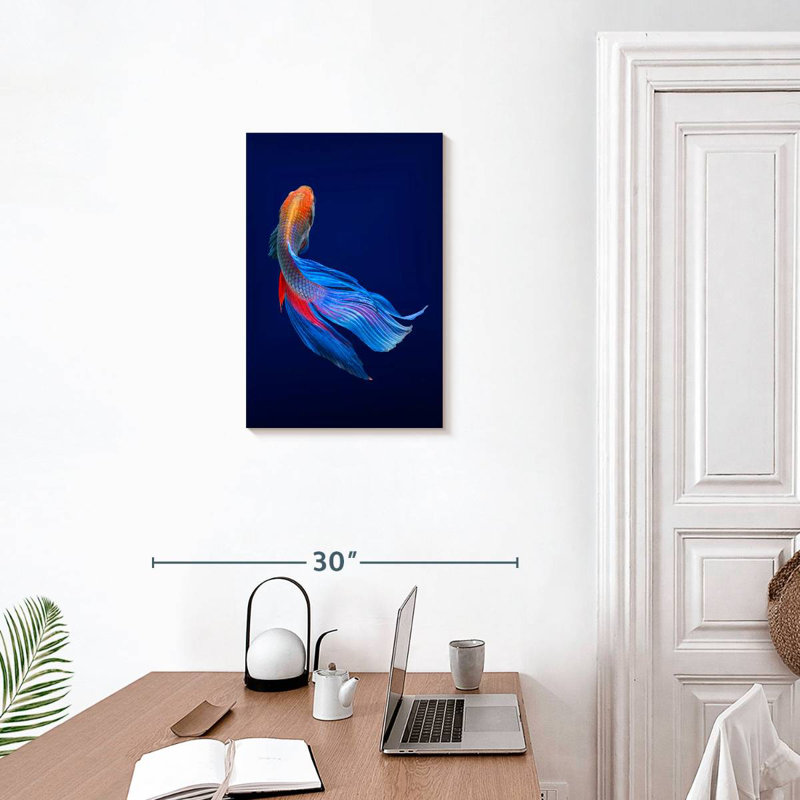 Poisson Betta Brampt, H 24 po x l 16 po