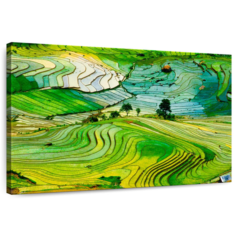 Rizières Alvord Lao Cai, H 20 po x l 30 po