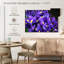 Violet iris-1371200616-1371200618