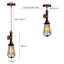 Lushton 1 - Light Bulb Pendant-651889572