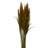 Zellmer 36'' H Preserved Plume Reed Bundle-1314829001