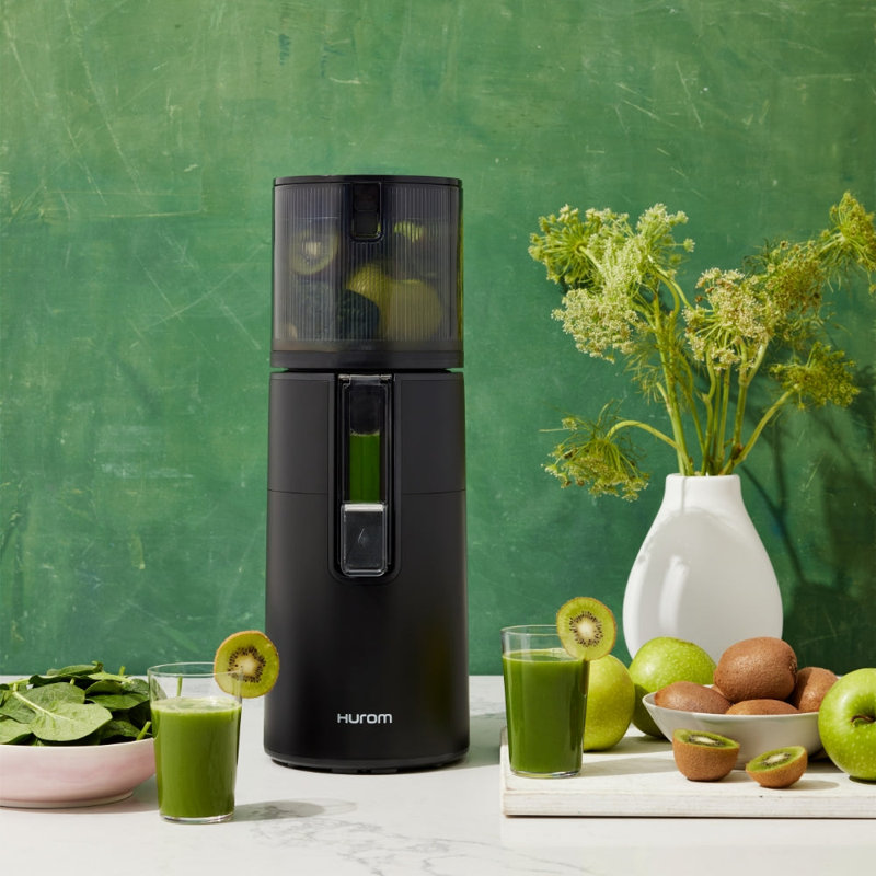 Hurom H400 Two Tone Easy Clean Slow Juicer