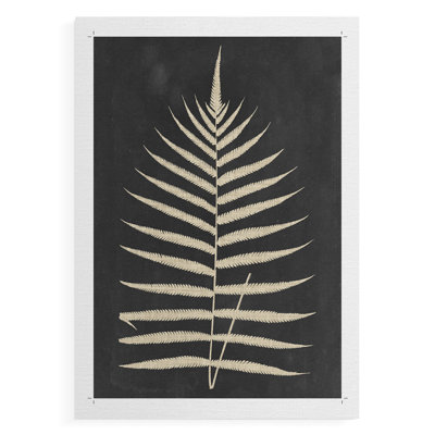 Linen Fern III -Canvas Print Only - NOT FRAMED