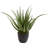 26'' Faux Agave Succulent in Planter