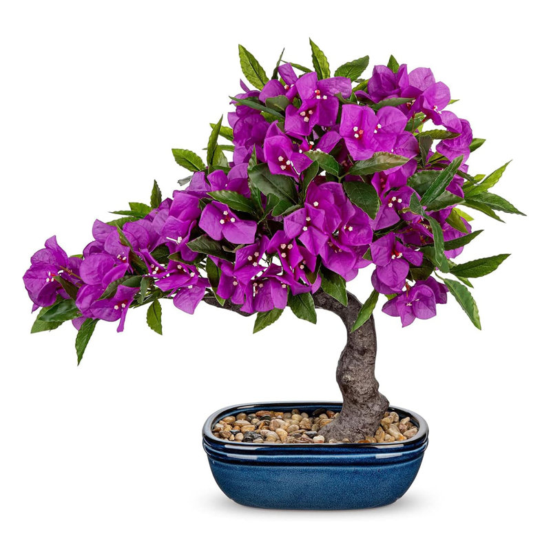 46.99cm Plant
