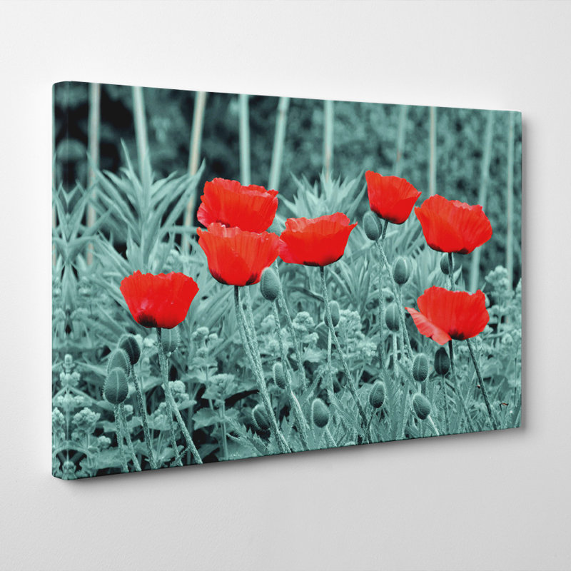 Wrapped Canvas Print, 40cm H x 60cm W