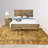 Chontelle Ceramic Table Lamp