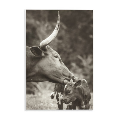  «Longhorn Kissing Baby» par Nathan Larson
