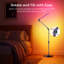 66.5cm Polished LED Novelty Floor Lamp