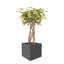 Pot Planter-37904852-37904851